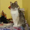Отзыв от Таисия Петровская